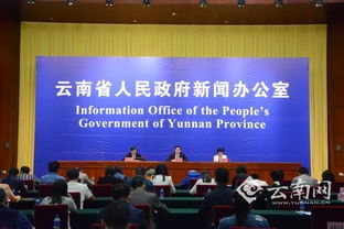 云南服務(wù)經(jīng)濟倍增計劃 科技中介服務(wù)成為未來主攻方向