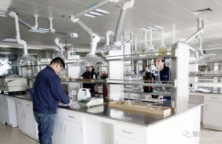 肥西縣高新技術(shù)企業(yè)認(rèn)定實(shí)現(xiàn)新突破，社會經(jīng)濟(jì)咨詢服務(wù)賦能產(chǎn)業(yè)升級